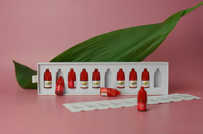 Lip Pigment Mini Set